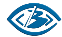 Vision Logo